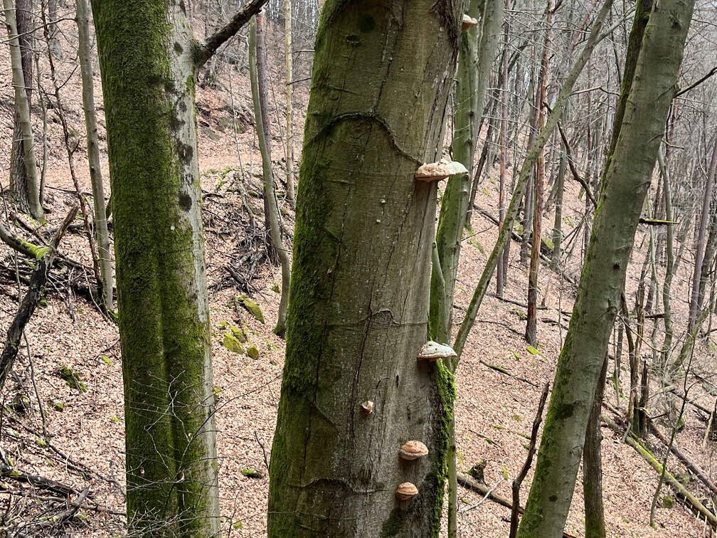 24-02-27 12-28-24 8743